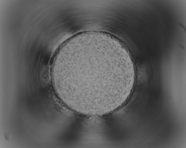 X0000103960974200810101241