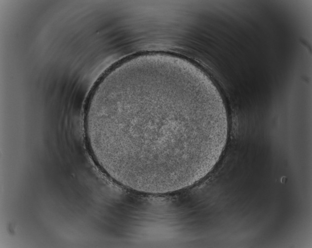 X0000103960976200810101241