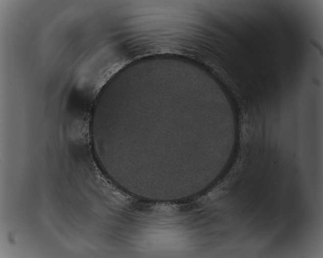 X0000103960977200810101241