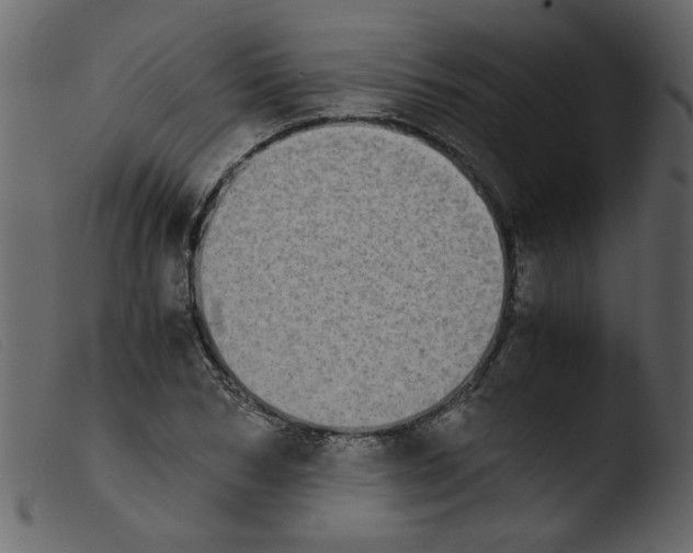 X0000103960978200810101240