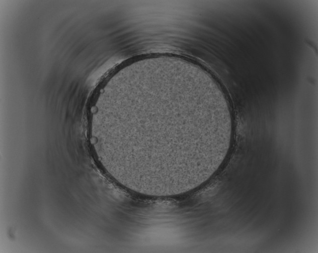 X0000103960979200810101240