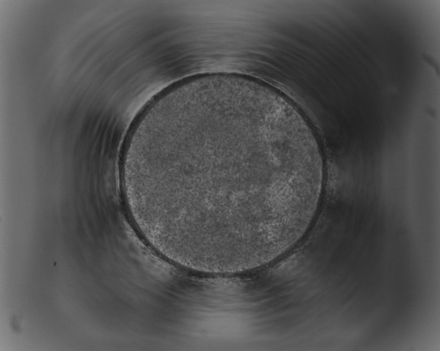 X0000103960980200810101240