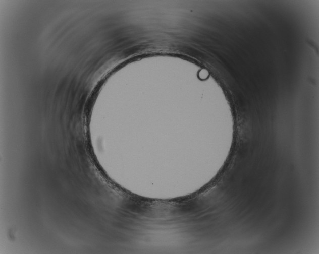 X0000103960981200810101240