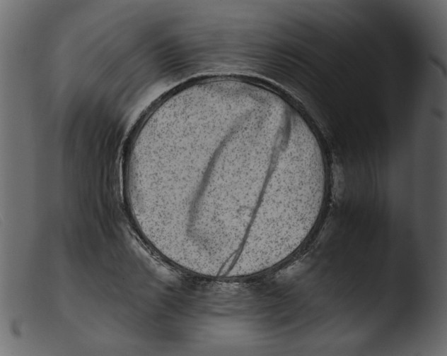 X0000103960982200810101240