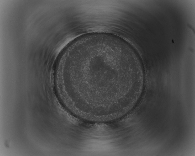 X0000103960983200810101240