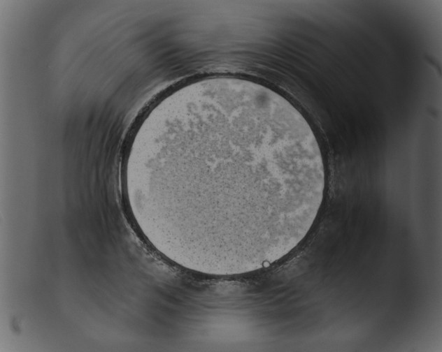 X0000103960984200810101240