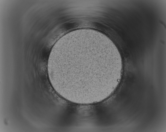 X0000103960985200810101240