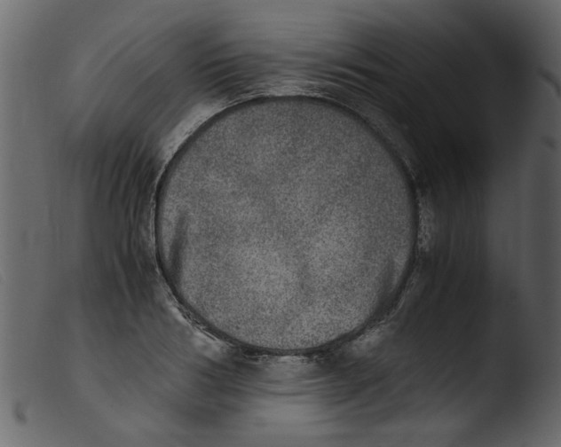 X0000103960986200810101240