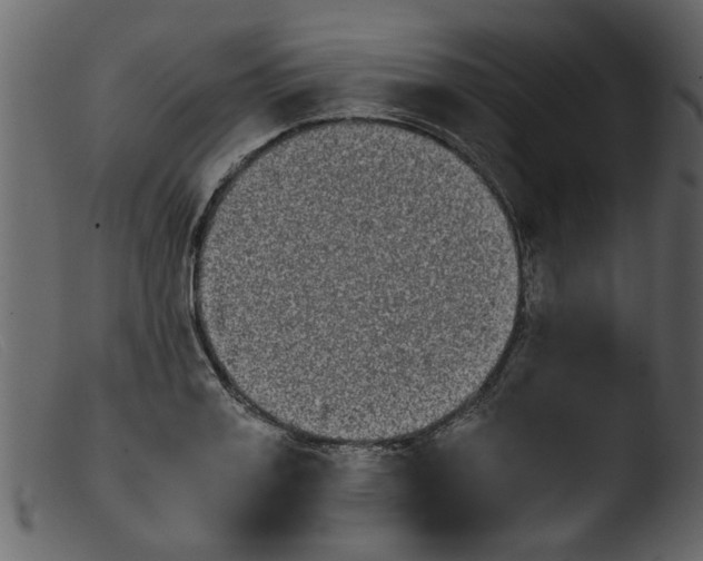 X0000103960987200810101240