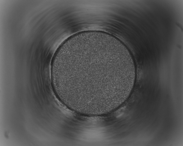 X0000103960988200810101240