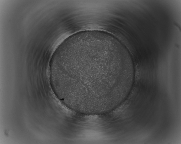 X0000103960990200810101240