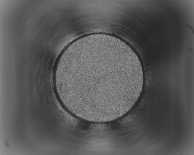 X0000103960991200810101240