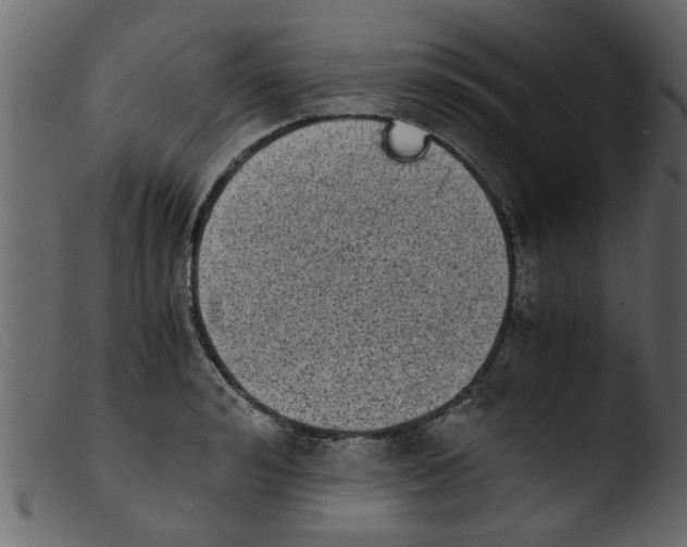 X0000103960992200810101240