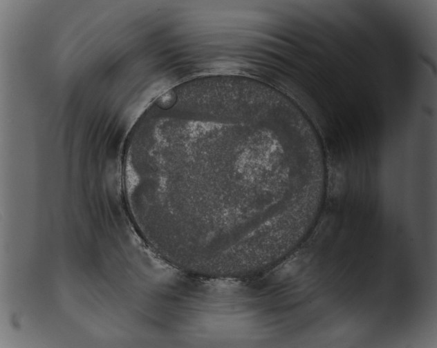 X0000103960994200810101240