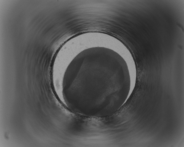 X0000103960995200810101240