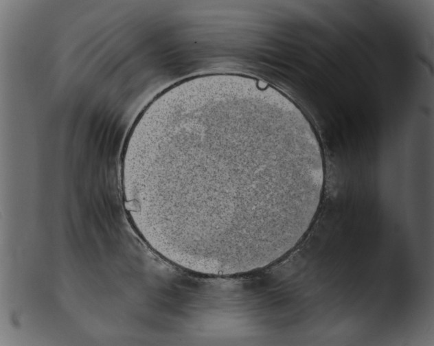 X0000103960996200810101240