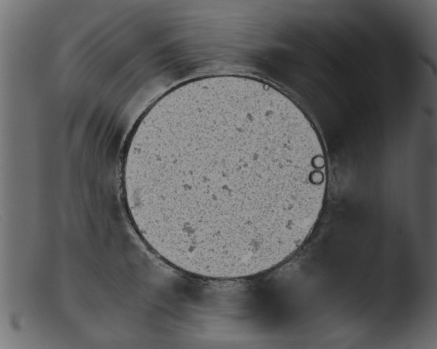 X0000103960997200810101240