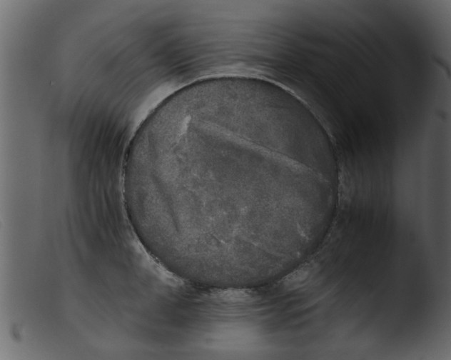 X0000103960998200810101240