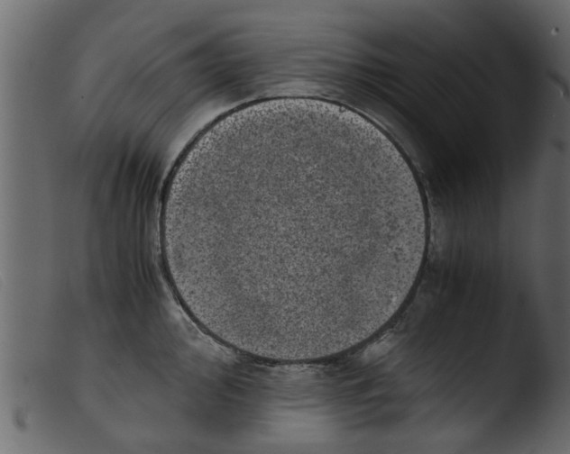 X0000103961000200810101240