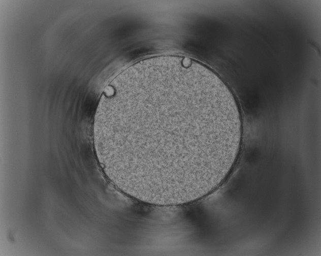 X0000103961001200810101240