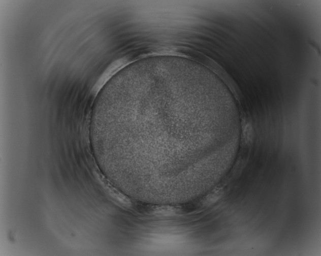 X0000103961002200810101240