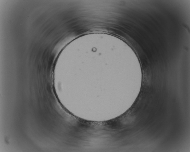 X0000103961003200810101240