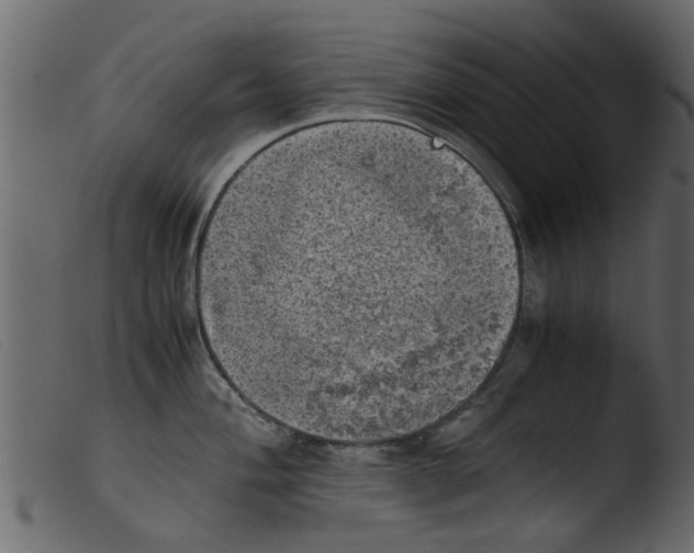 X0000103961004200810101240