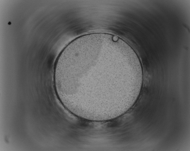 X0000103961005200810101240