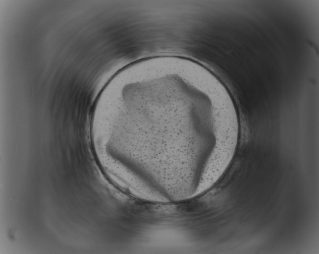 X0000103961006200810101240