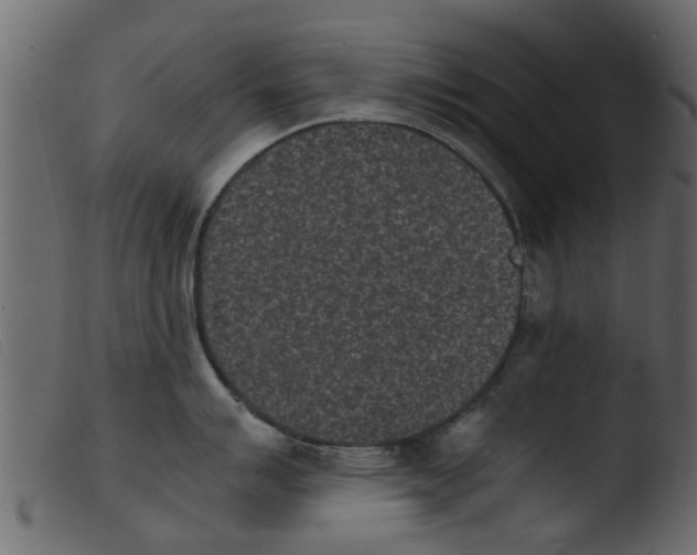 X0000103961007200810101240