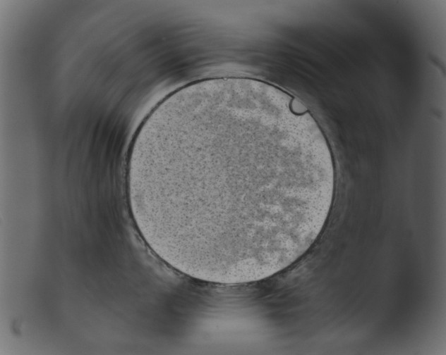 X0000103961008200810101240