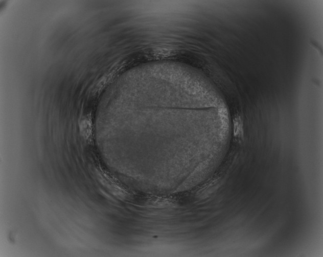 X0000103961011200810101239