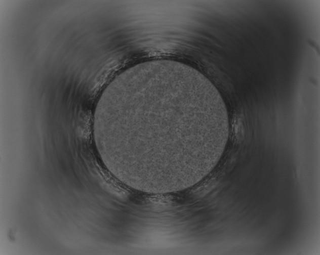 X0000103961012200810101239