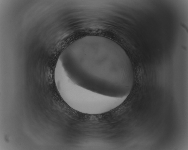 X0000103961013200810101239