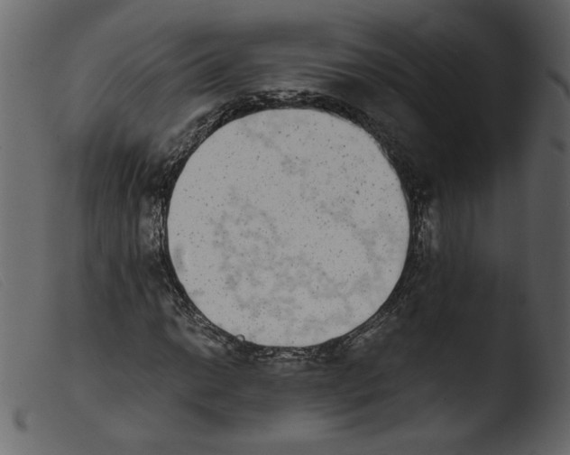 X0000103961014200810101239