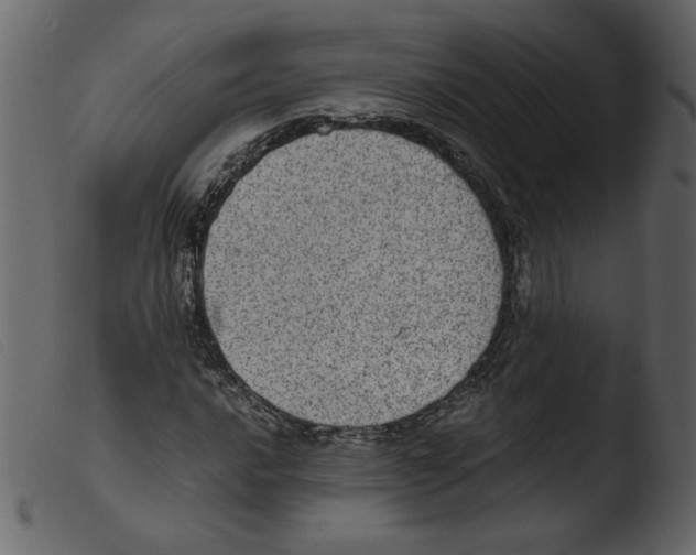 X0000103961016200810101239