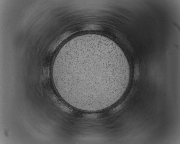 X0000103961017200810101239