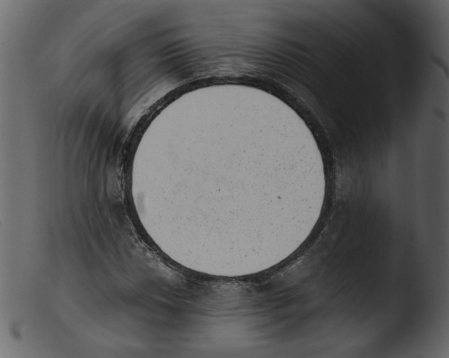 X0000103961018200810101239