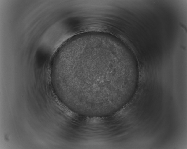 X0000103961019200810101239