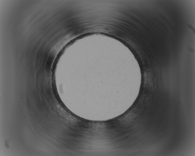 X0000103961020200810101239