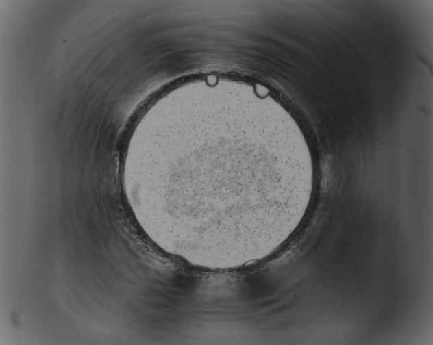 X0000103961021200810101239