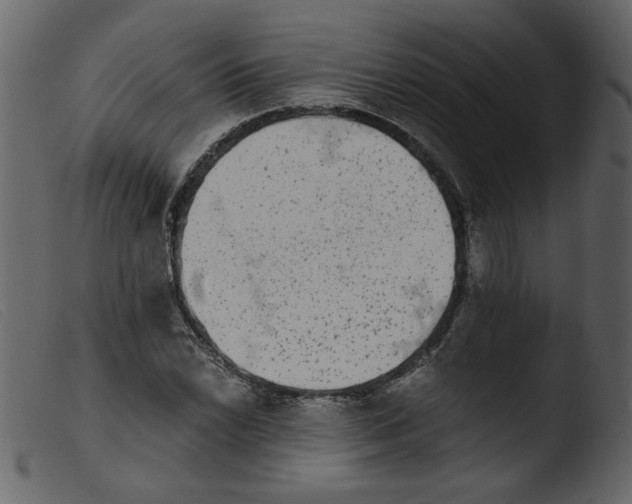 X0000103961022200810101240