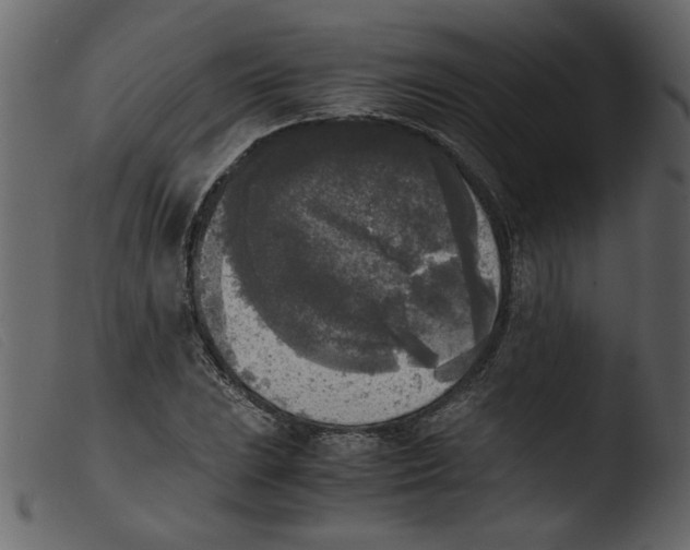 X0000103961023200810101240