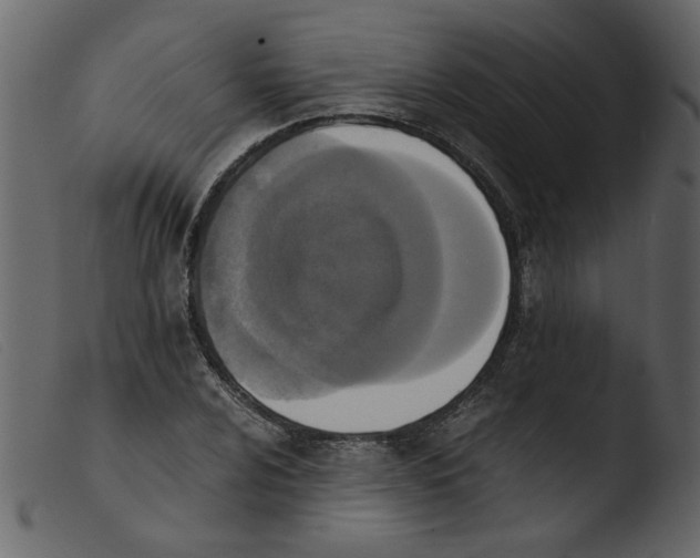 X0000103961024200810101240