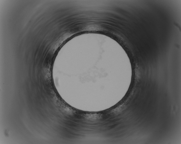 X0000103961025200810101240