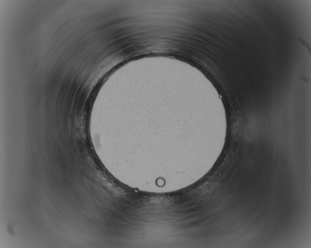 X0000103961026200810101240