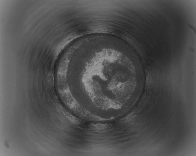 X0000103961027200810101240