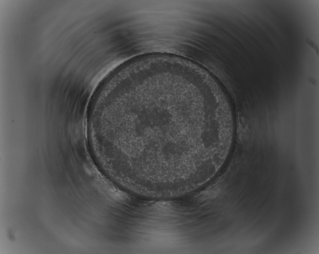 X0000103961028200810101240