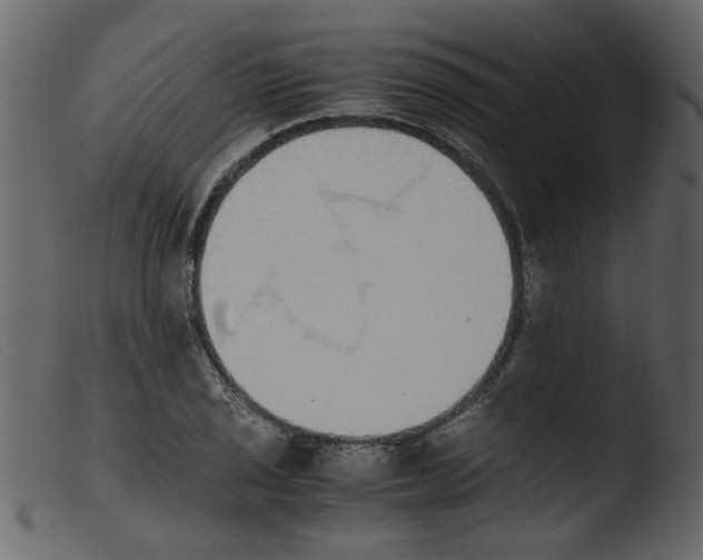 X0000103961029200810101240