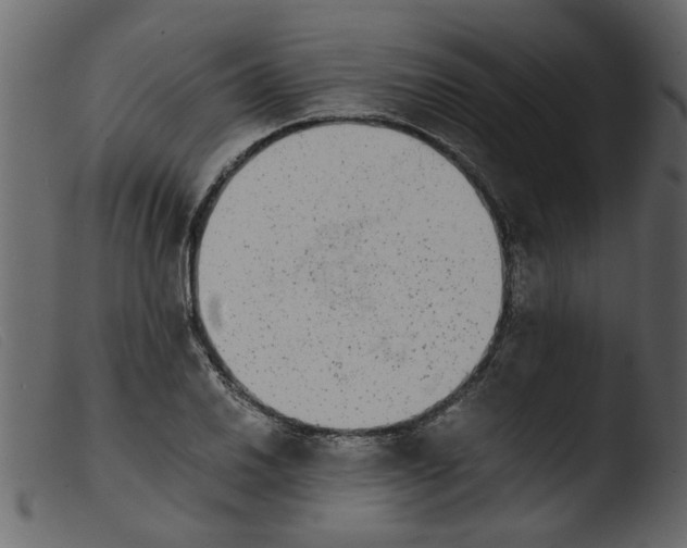 X0000103961030200810101240